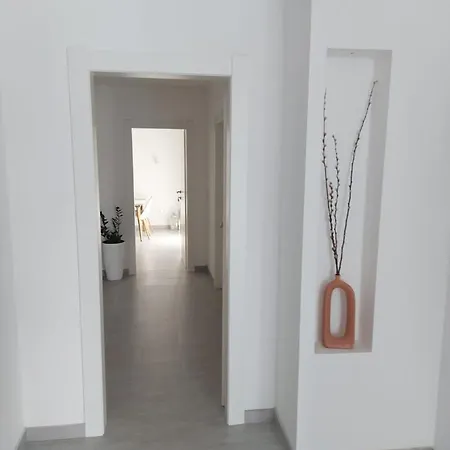House Vinka Near The In