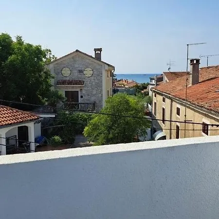 House Vinka Near The In